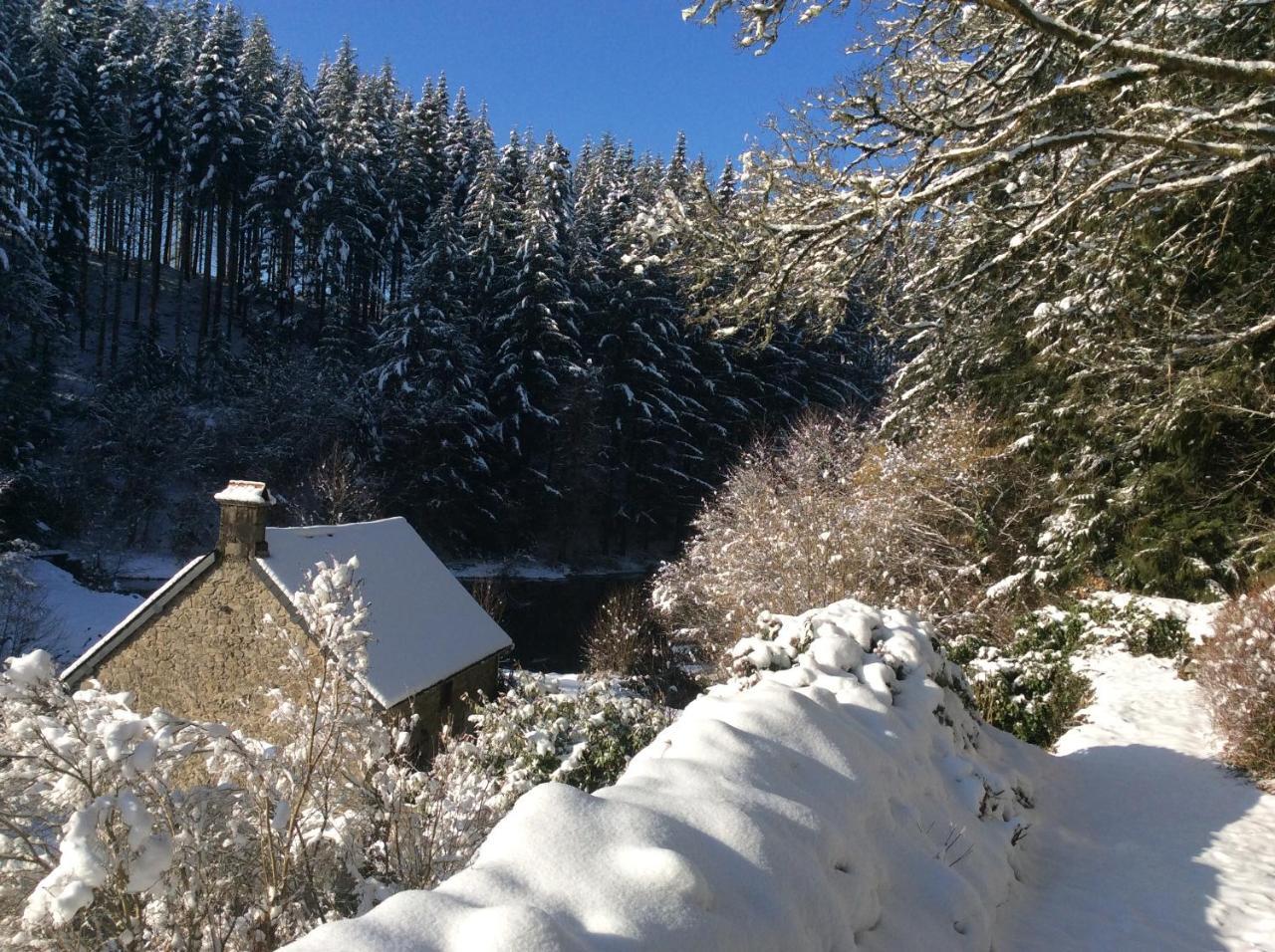 Le Moulin Des Farges Bed & Breakfast Meymac Dış mekan fotoğraf